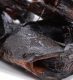 fully-gutted-smoked-cat-fish-mi21181--PRODUCT